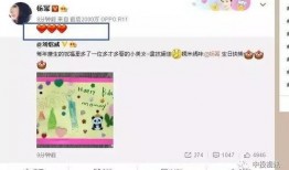 娱乐吃瓜酱生日,生日快乐，揭秘这位娱乐圈“瓜王”的独家魅力