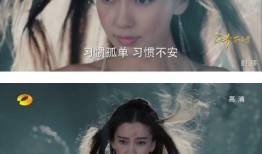 娱乐圈吃瓜明星小说推荐