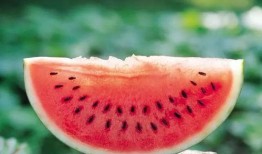 g718娱乐吃瓜,揭秘娱乐圈最新吃瓜事件