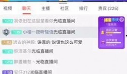主播吃瓜爆料伙伴娱乐,吃瓜爆料，伙伴娱乐背后的精彩故事