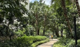 嘉禾望岗娱乐吃瓜地