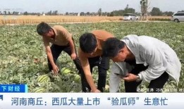 部队娱乐吃瓜小品,部队娱乐吃瓜小品，欢乐无限