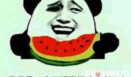 娱乐吃瓜酱谐音梗是什么