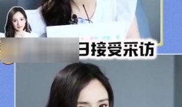 娱乐圈大型吃瓜日