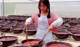 娱乐吃瓜酱河南,揭秘河南娱乐圈的那些事儿