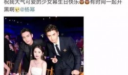 娱乐圈大型吃瓜日