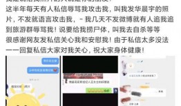 吃瓜系统娱乐圈后续,吃瓜系统后续揭秘