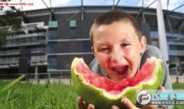 娱乐吃瓜酱男孩发表情包,趣味横生的网络潮流