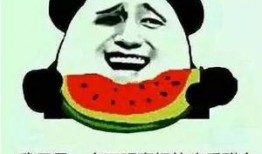 做一个吃瓜群众的说说,吃瓜群众视角下的娱乐圈风云录