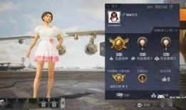 娱乐吃瓜酱段位,揭秘娱乐圈段位风云