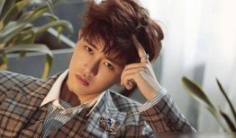 任嘉伦吃瓜娱乐完整版,幕后故事全解析