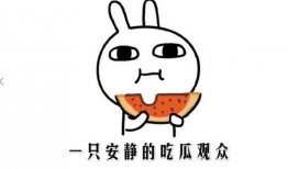 网络词吃瓜是什么意思啊,吃瓜背后的文化内涵