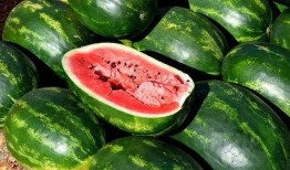 娱乐圈吃瓜图片素材下载,吃瓜图片素材大曝光！