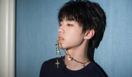 娱乐吃瓜蜀黍王俊凯小说,娱乐圈的甜蜜瓜田