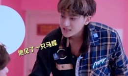 鹿晗娱乐吃瓜是真的吗,真相揭秘还是网络谣言？