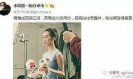 娱乐吃瓜刘诗诗,娱乐圈的甜蜜瓜果，甜蜜人生