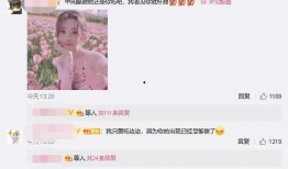 娱乐吃瓜君痞呦评论,揭秘娱乐圈背后的那些事儿