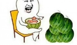 娱乐圈瓜吃啥意思,揭秘明星幕后故事与八卦传闻